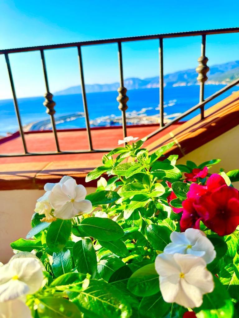 Cala Gonone House Apartment Exterior foto
